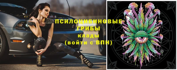 мяу мяу мука Алзамай