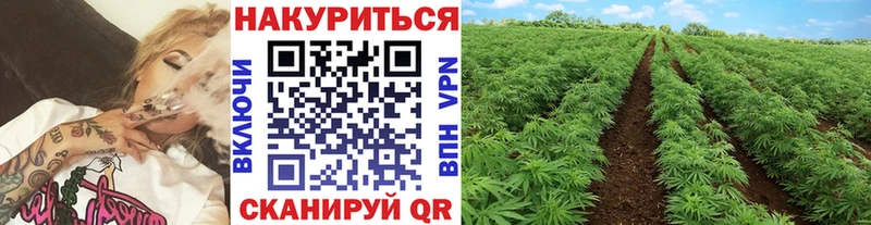 Шишки марихуана Amnesia Чердынь